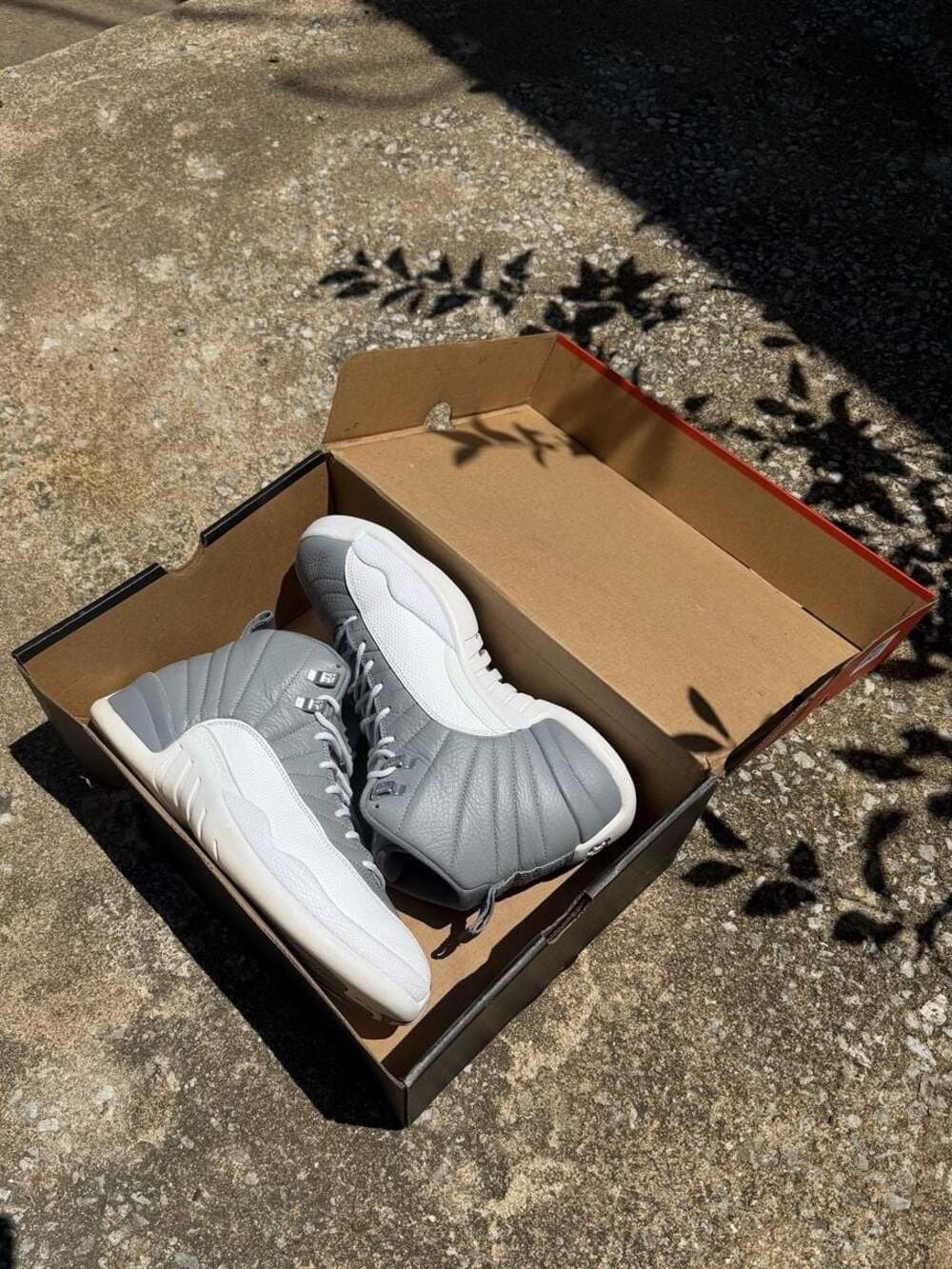 Air Jordan 12 Retro Stealth (Cool Grey/White)